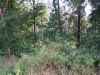 Map or photo for Pike County, Missouri hunting lease property.