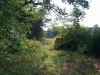 Map or photo for Pike County, Missouri hunting lease property.