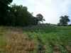 Map or photo for Pike County, Missouri hunting lease property.