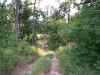 Map or photo for Pike County, Missouri hunting lease property.