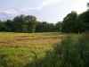 Map or photo for Pike County, Missouri hunting lease property.