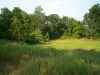 Map or photo for Pike County, Missouri hunting lease property.