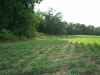 Map or photo for Pike County, Missouri hunting lease property.