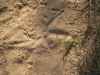 Map or photo for Pike County, Missouri hunting lease property.
