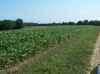 Map or photo for Clark County, Wisconsin hunting lease property.