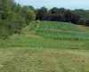 Map or photo for Clark County, Wisconsin hunting lease property.