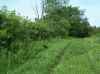 Map or photo for Vernon County, Wisconsin hunting lease property.