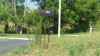 Map or photo for Washington County, Kentucky hunting lease property.