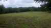 Map or photo for Washington County, Kentucky hunting lease property.