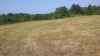 Map or photo for Washington County, Kentucky hunting lease property.