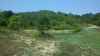 Map or photo for Washington County, Kentucky hunting lease property.