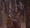 Map or photo for Jackson County, Kansas hunting lease property.