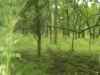 Map or photo for Jackson County, Kansas hunting lease property.