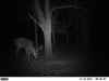 Map or photo for Jackson County, Kansas hunting lease property.