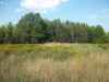 Whitetail properties