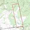 Bear hunting NY