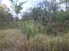 Top places to kill a trophy deer