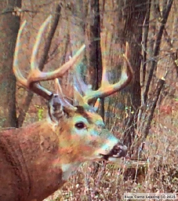 Grant County Wisconsin Hunting Lease Property 9843 Base Camp Leasing