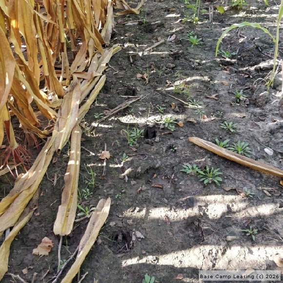 Harrison County Missouri Hunting Lease Property 10127 Base Camp