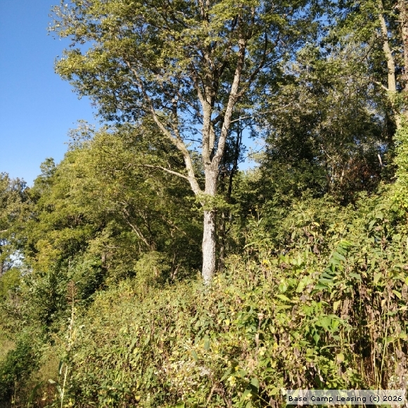 Harrison County Missouri Hunting Lease Property 10127 Base Camp