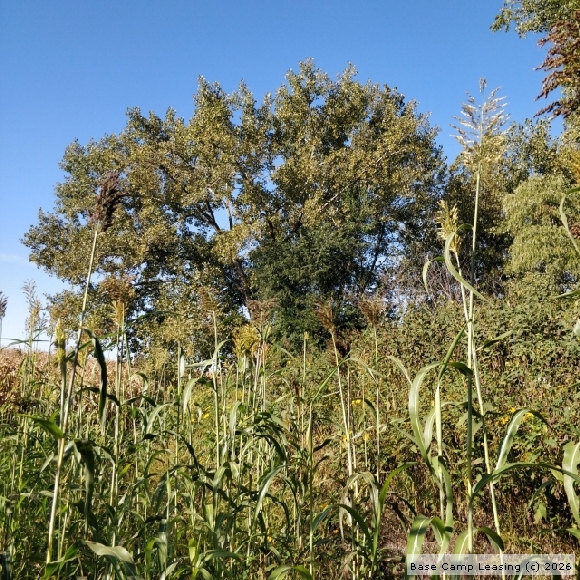 Harrison County Missouri Hunting Lease Property 10127 Base Camp