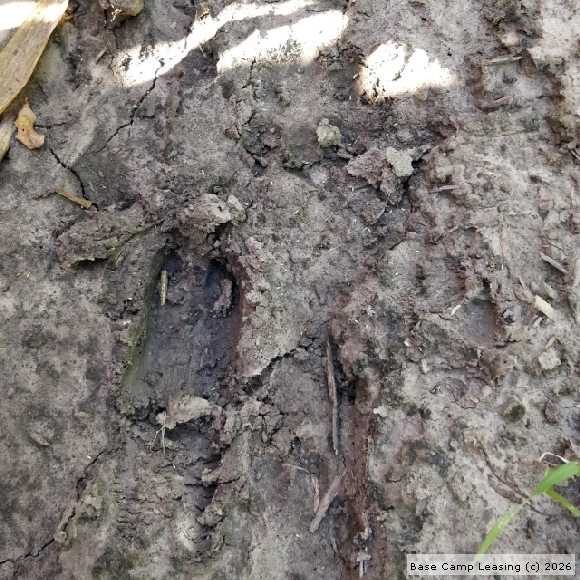 Harrison County Missouri Hunting Lease Property 10127 Base Camp