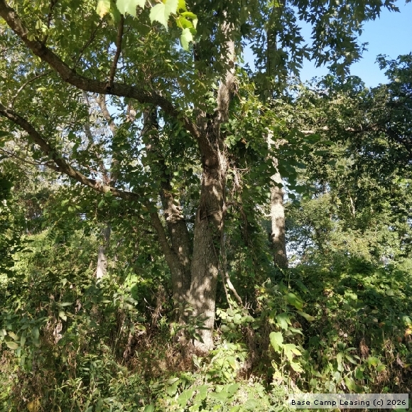 Harrison County Missouri Hunting Lease Property 10127 Base Camp