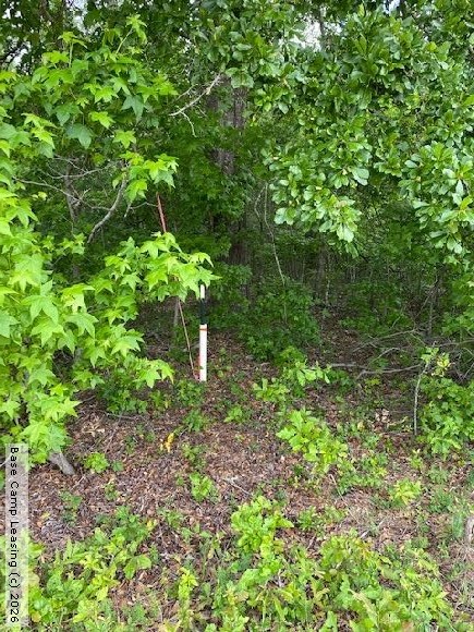 Barnwell County South Carolina Hunting Lease Property 10432 Base
