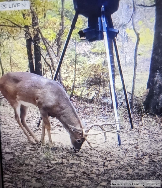 Latimer County Oklahoma Hunting Lease Property 10633 Base Camp Leasing