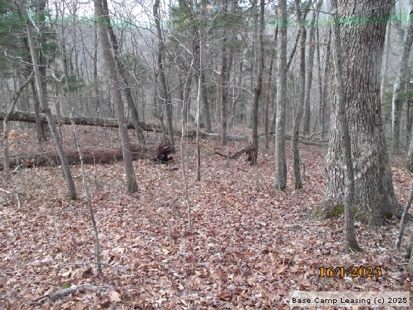 Clinton County Kentucky Hunting Lease Property 10845 Base Camp Leasing