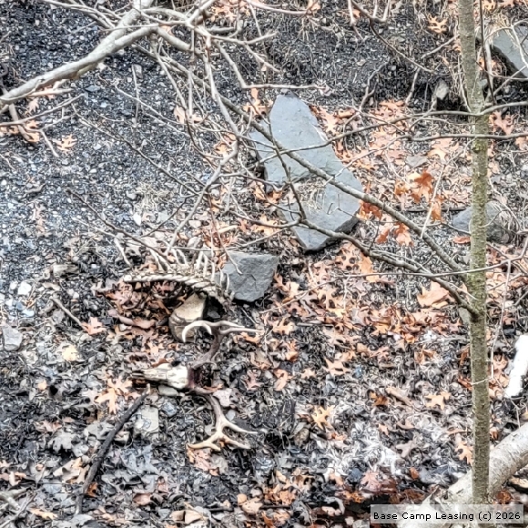 Carbon County Pennsylvania Hunting Lease Property 10864 Base Camp