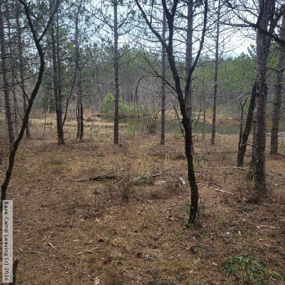 Carbon County Pennsylvania Hunting Lease Property 10864 Base Camp