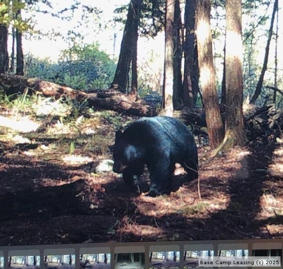 Broome County New York Hunting Lease Property 10881 Base Camp Leasing