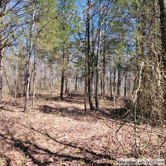 Wayne County Missouri Hunting Lease Property 10809 Base Camp Leasing