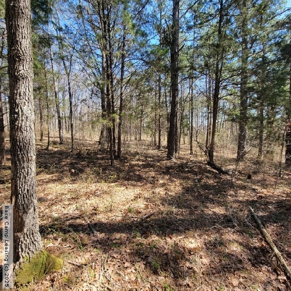 Wayne County Missouri Hunting Lease Property 10809 Base Camp Leasing