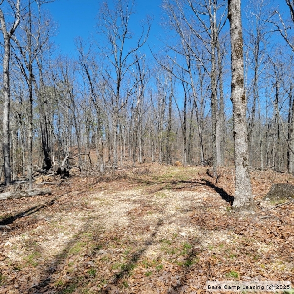 Wayne County Missouri Hunting Lease Property 10809 Base Camp Leasing