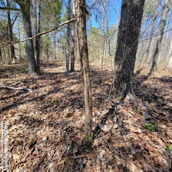 Wayne County Missouri Hunting Lease Property 10809 Base Camp Leasing