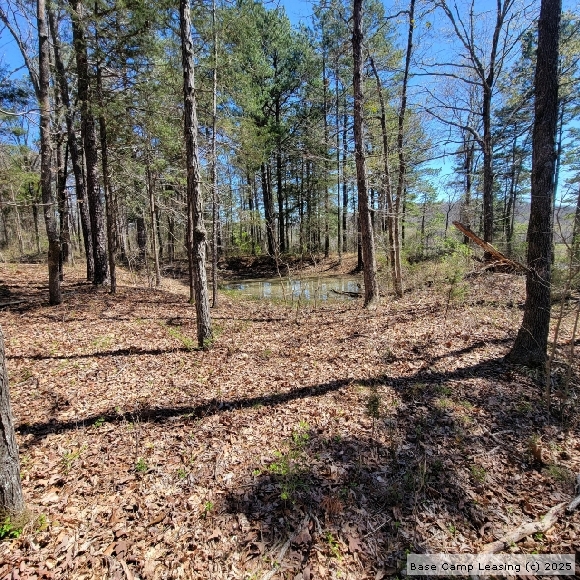 Wayne County Missouri Hunting Lease Property 10809 Base Camp Leasing