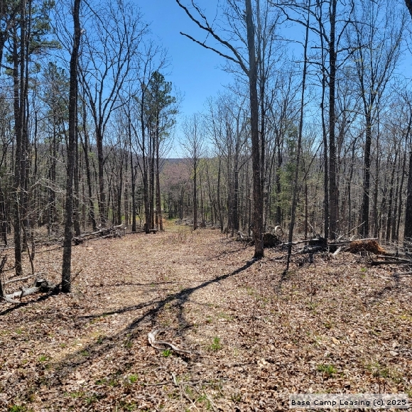 Wayne County Missouri Hunting Lease Property 10809 Base Camp Leasing