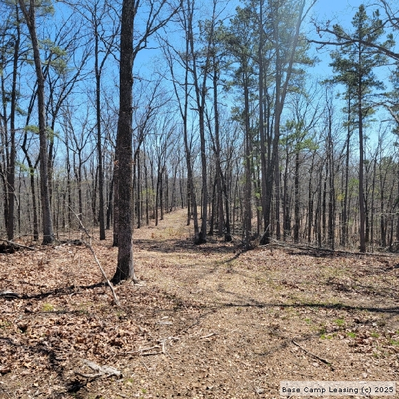 Wayne County Missouri Hunting Lease Property 10809 Base Camp Leasing