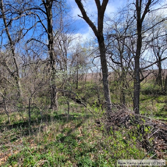 Lafayette County Missouri Hunting Lease Property 11031 Base Camp