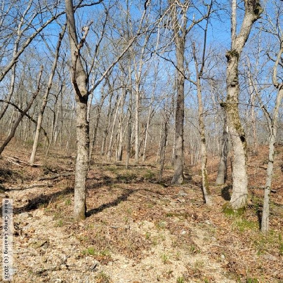 Camden County Missouri Hunting Lease Property 11035 Base Camp Leasing