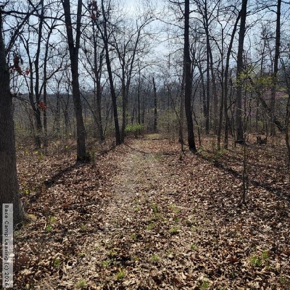 Camden County Missouri Hunting Lease Property 11035 Base Camp Leasing