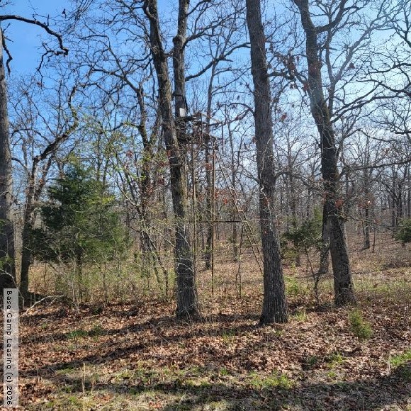 Camden County Missouri Hunting Lease Property 11035 Base Camp Leasing