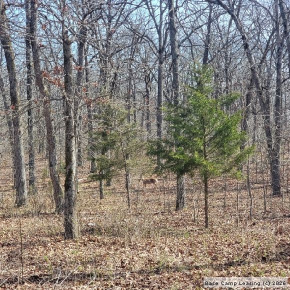 Camden County Missouri Hunting Lease Property 11035 Base Camp Leasing