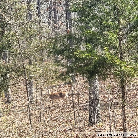 Camden County Missouri Hunting Lease Property 11035 Base Camp Leasing
