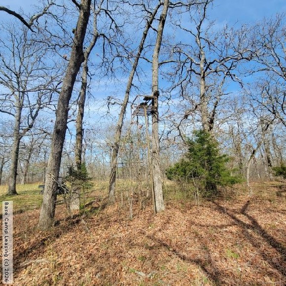 Camden County Missouri Hunting Lease Property 11035 Base Camp Leasing