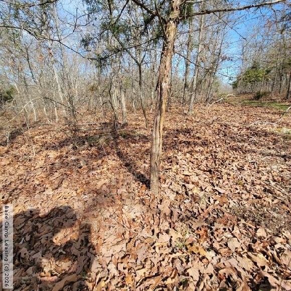 Camden County Missouri Hunting Lease Property 11035 Base Camp Leasing
