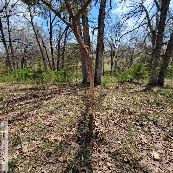 Adair County Missouri Hunting Lease Property 11046 Base Camp Leasing