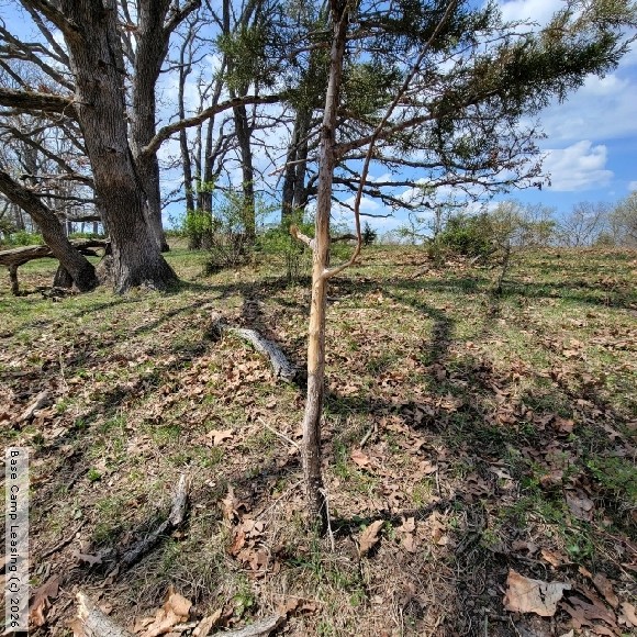 Adair County Missouri Hunting Lease Property 11046 Base Camp Leasing